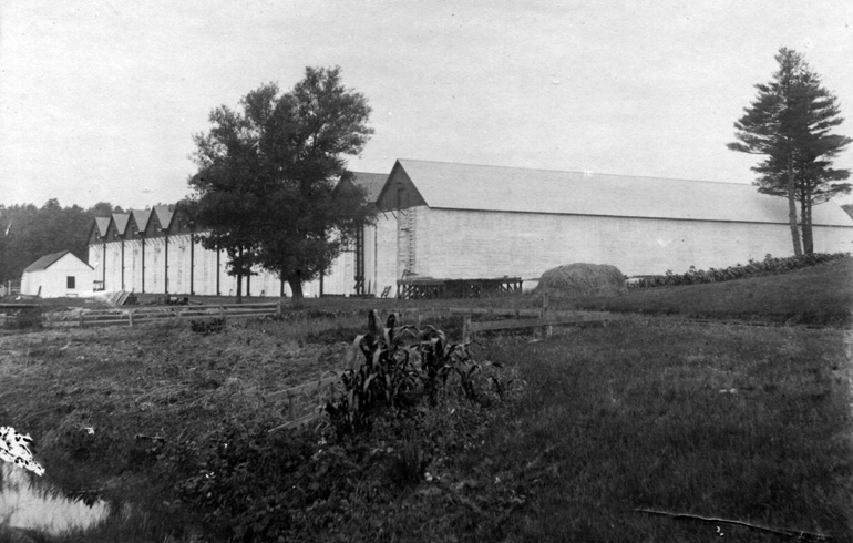 Boston Ice Company at Crystal Lake